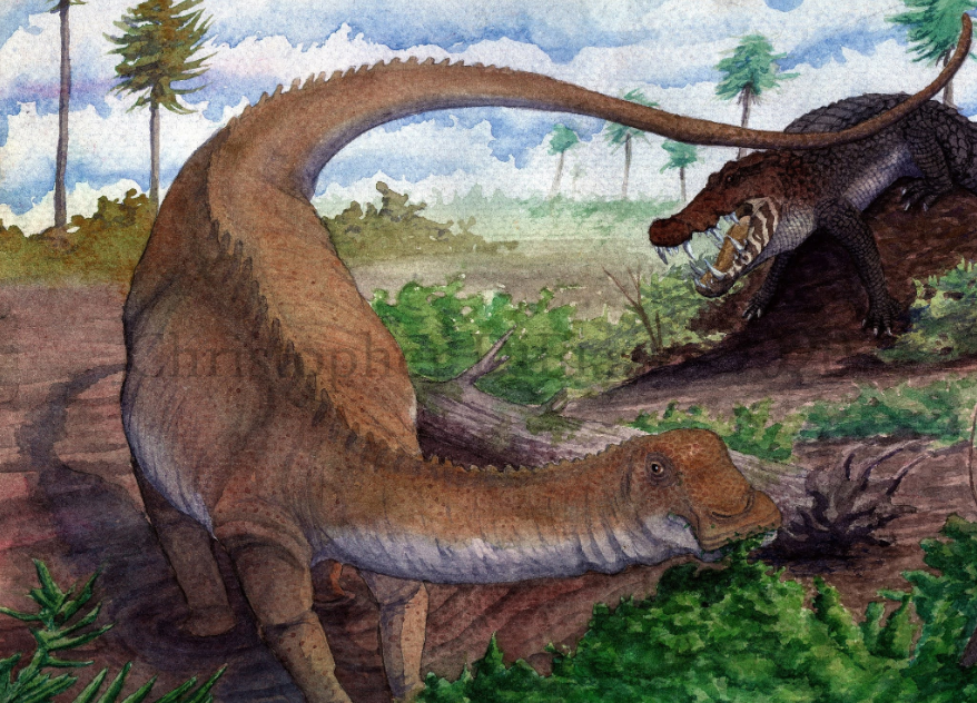nigersaurus
